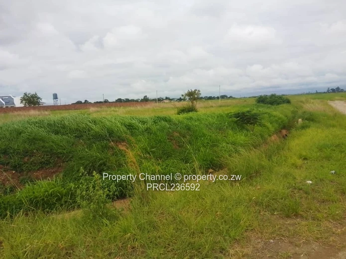 Goodhope Stand For Sale