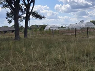 Farm & Agricultural Land
