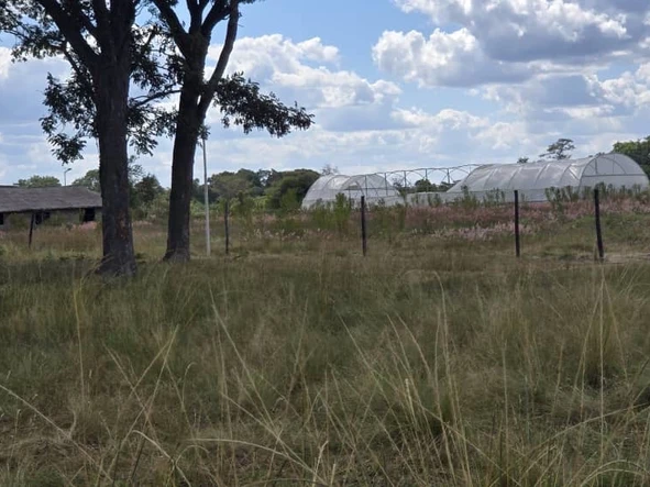 Farm & Agricultural Land