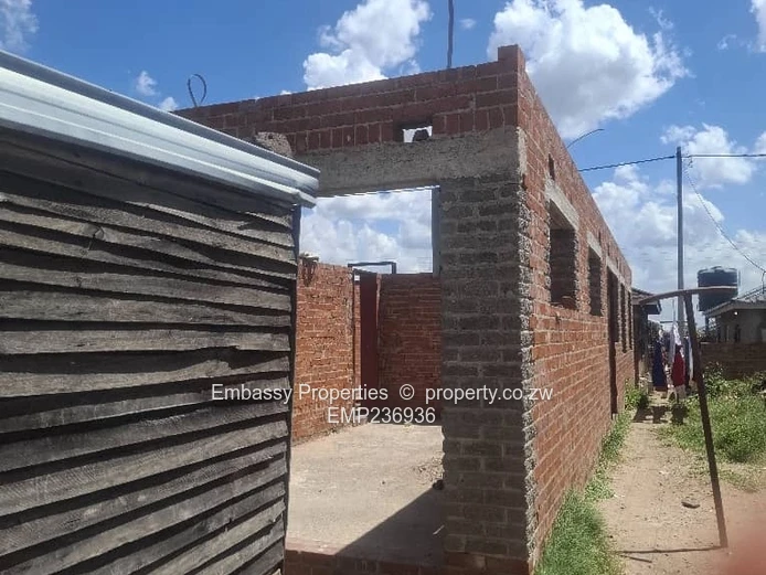 Investment Opportunity