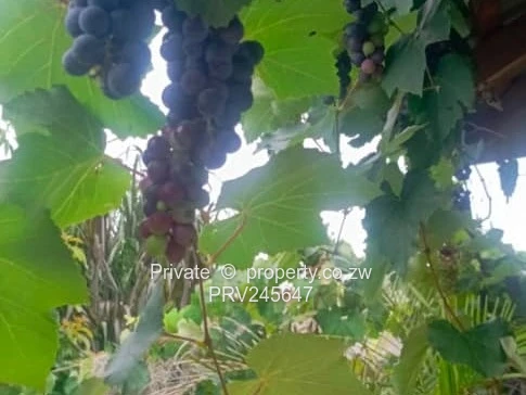 Modern 4-bed turnkey home on large 1,150m² stand near Sunway City. Full solar, borehole, jacuzzi, el (Sole Mandate)