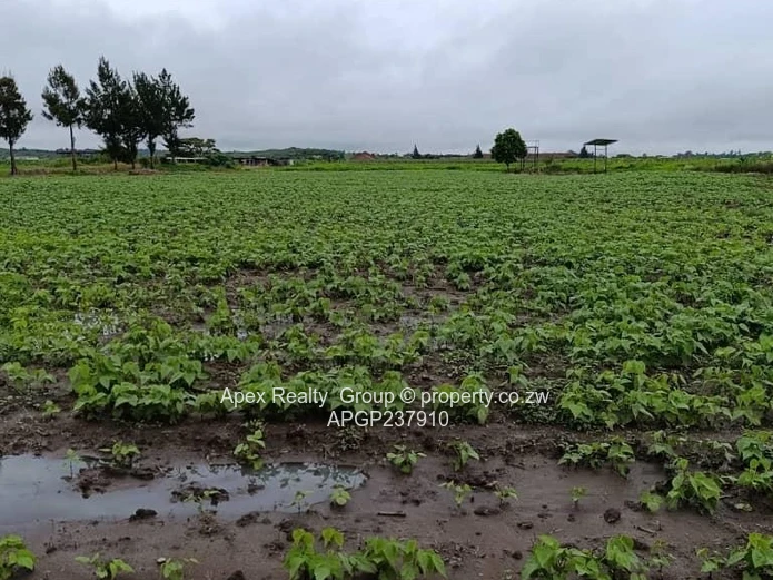 Rainham Plot for sale (Sole Mandate)