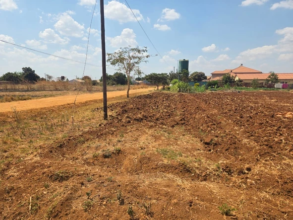 Stands & Residential Land