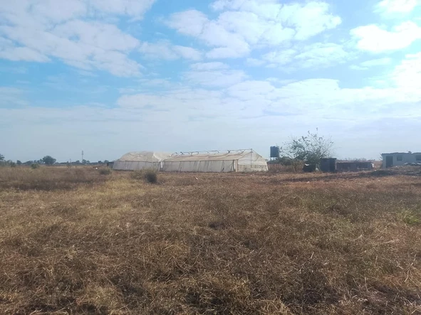 Farm & Agricultural Land