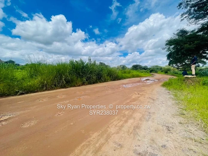 Westgate Area D Stand For Sale