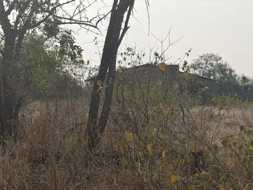 Land