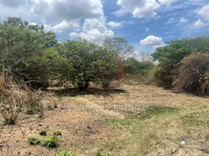 Hatfield 7600 s/mtrs property for sale (Sole Mandate)