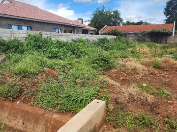 ocean park westgate adylinn stand for sale