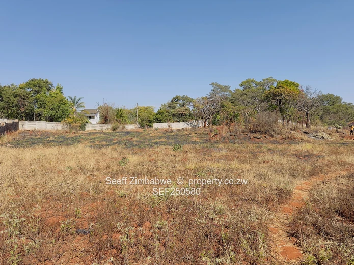 Prime Vacant Land Opportunity in Mandara