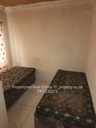 Investment opportunity!!!