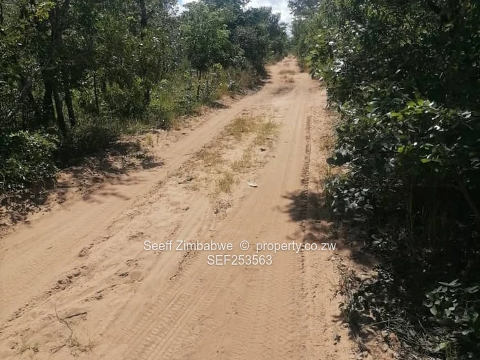 Land For Potential Development .