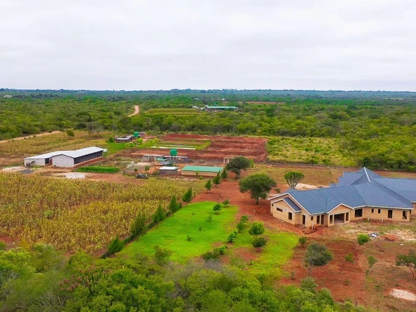 Farm & Agricultural Land