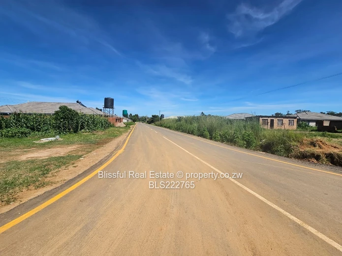 Stands!! Stands!! Stands!!