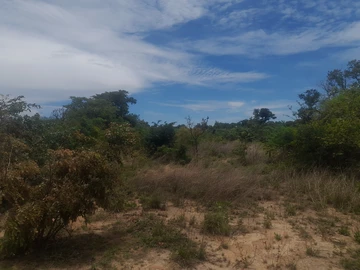 Farm & Agricultural Land