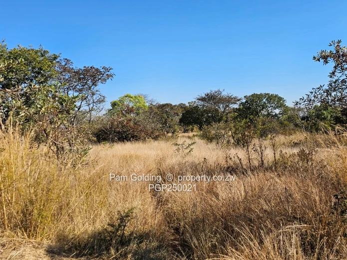 Stunning Prime Residential Land