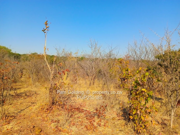 Prime 2,600sqm Residential Stand for Sale   (Sole Mandate)