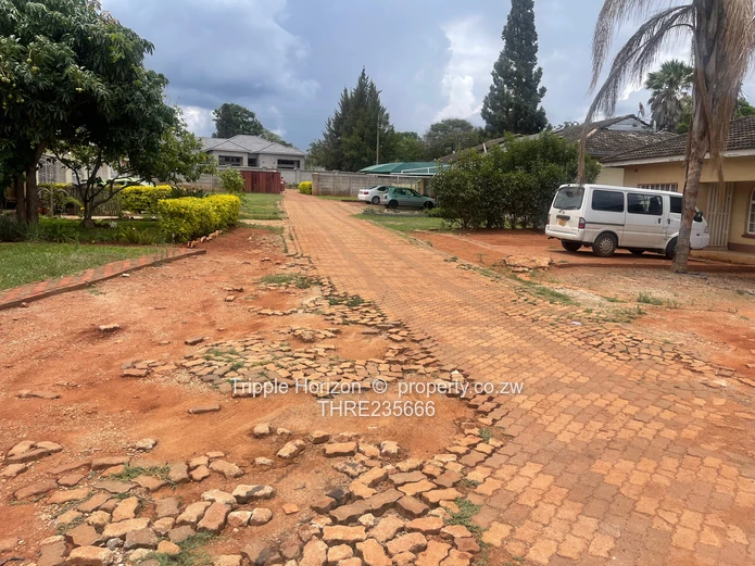 Refurbished Garden Flat For Sale (Sole Mandate)