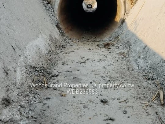 Arlington East stand for sale