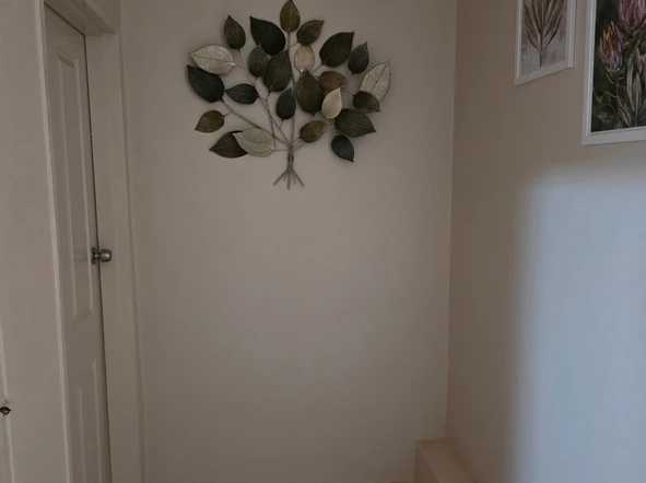 2 Bedroom Flat & Apartment