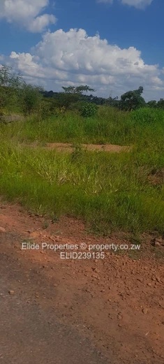 Pomona-Buckland Terrance Stand for Sale (Sole Mandate)