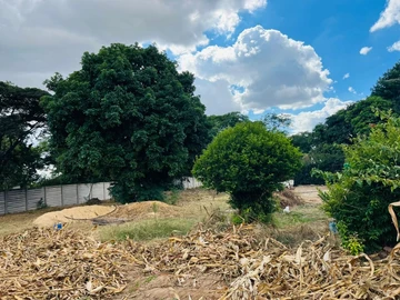 Stands & Residential Land