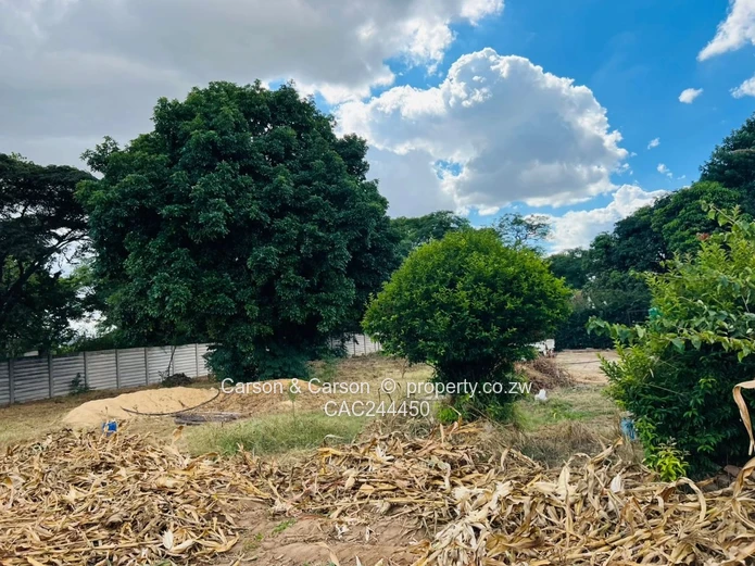 Subdivision stand for sale