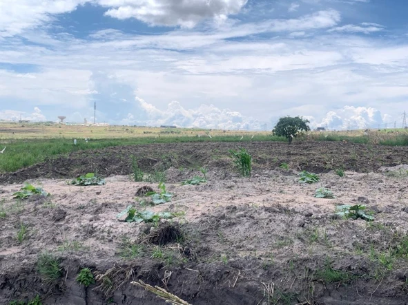 Commercial & Industrial Land