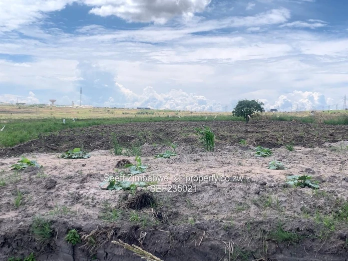 Industrial Stands With Mutare Road Frontage