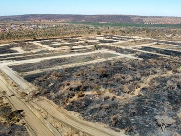 Stands & Residential Land