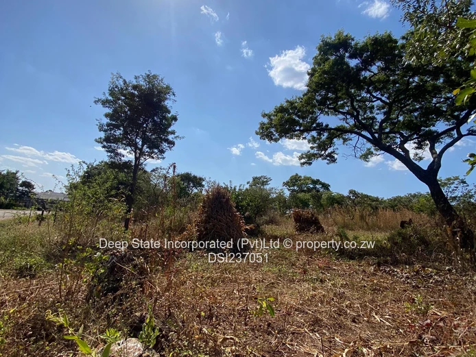 Gletwin stand for sale 