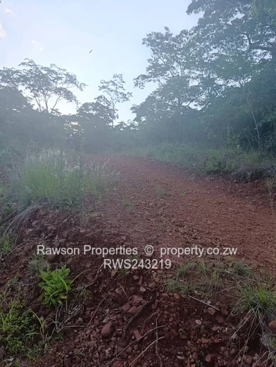 Build your dream home