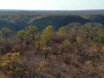 Commercial & Industrial Land