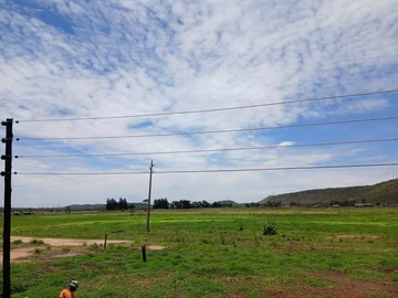 Farm & Agricultural Land