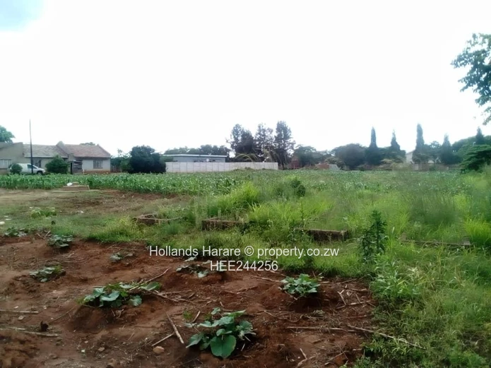 Stand For Sale In Norton (Sole Mandate)