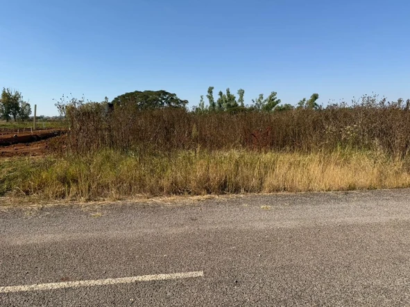 Stands & Residential Land