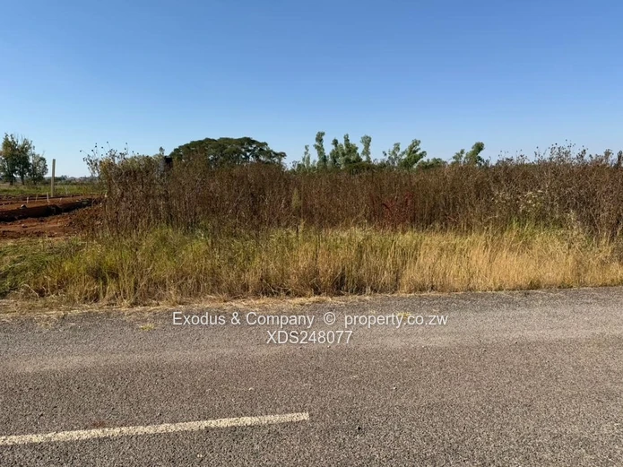 Stands for sale