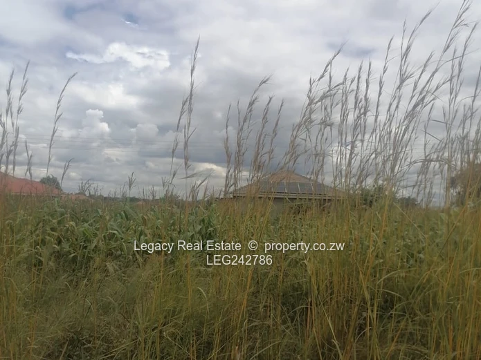 Hot Property Alert: Rydale Ridge Stand for Sale