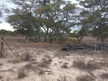 Farm & Agricultural Land