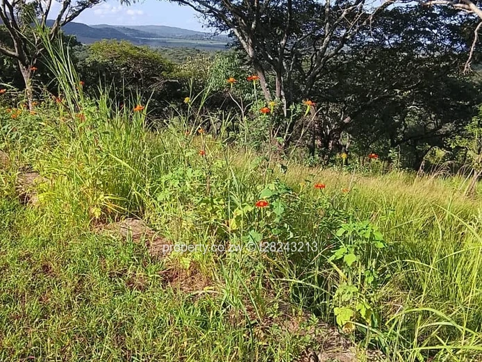 Mazowe Close Trojen Mine (Sole Mandate)