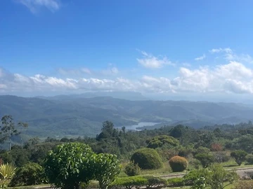 Farm & Agricultural Land