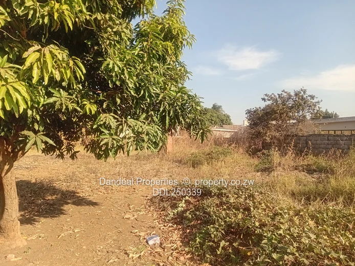 Tynwald 8-Bed Family Estate on 8094m² — Pool & Borehole