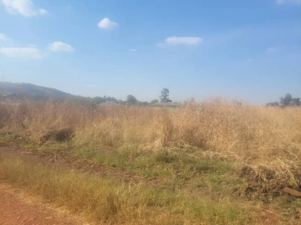 Stands & Residential Land