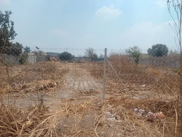 Stands & Residential Land