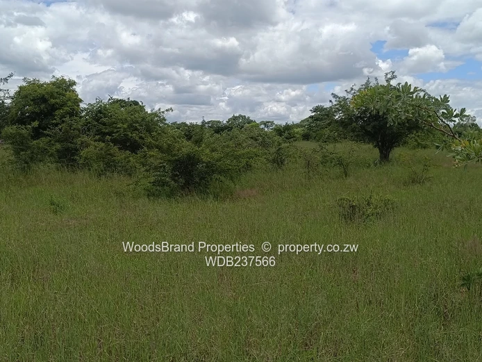 Chegutu, Dorton Plots For Sale