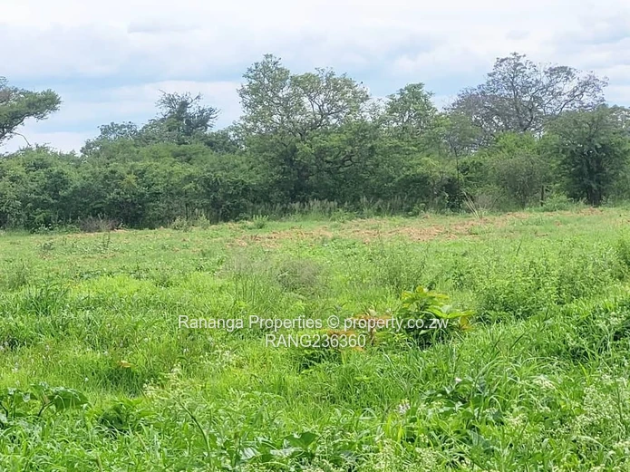 Kensington Plot for Sale