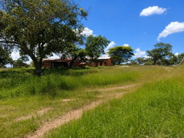 Farm & Agricultural Land