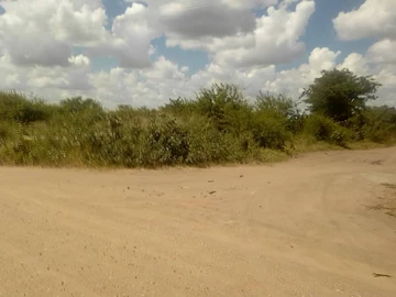 Farm & Agricultural Land