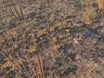 Farm & Agricultural Land