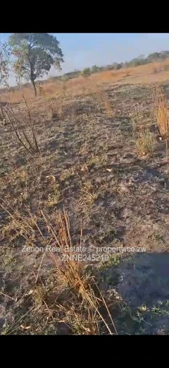 Norton plot for sale