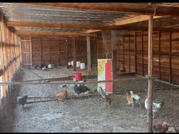 Farm & Agricultural Land